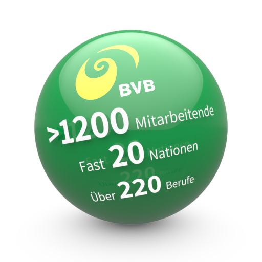 Bild BVB in Zahlen